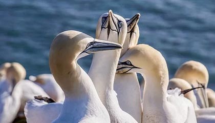 九州娱乐|足球赛事v7.7.3