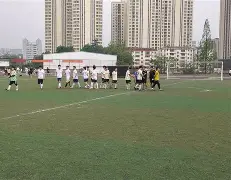 关于足球场上的激烈较量，哪支球队能取得胜利？的信息