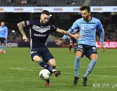 奥地利球队表现出色，赢得了胜利