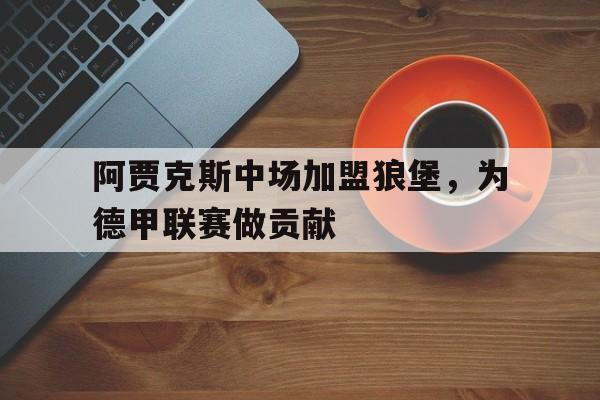 包含阿贾克斯中场加盟狼堡，为德甲联赛做贡献的词条