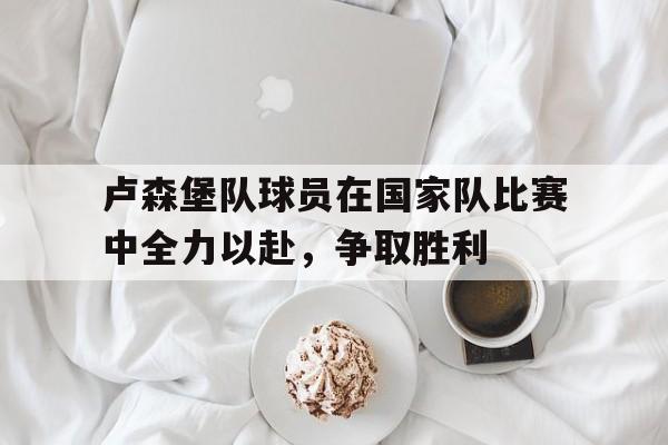 卢森堡队球员在国家队比赛中全力以赴，争取胜利